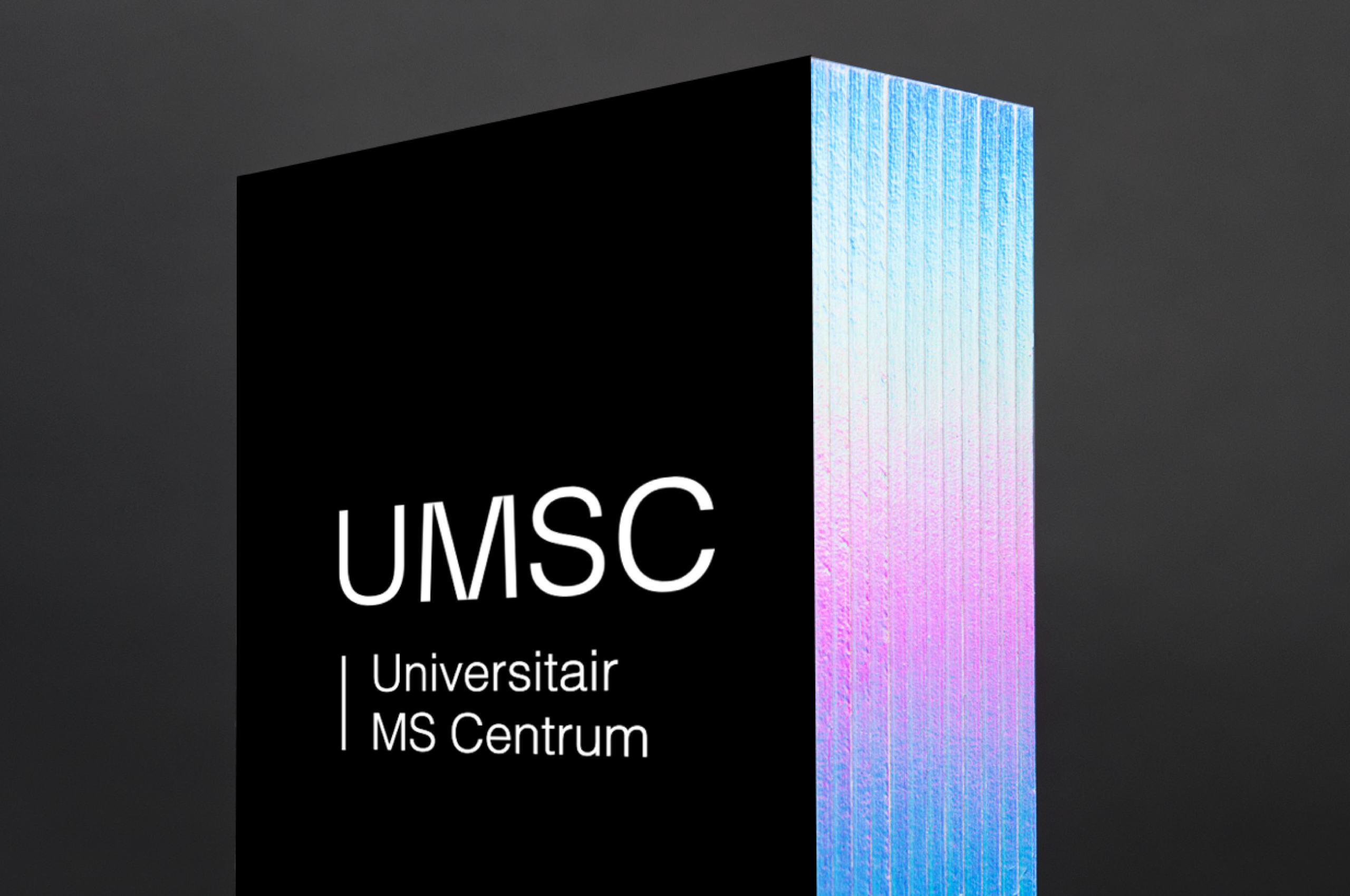 05__UMSC_LexTurner_logo-branding