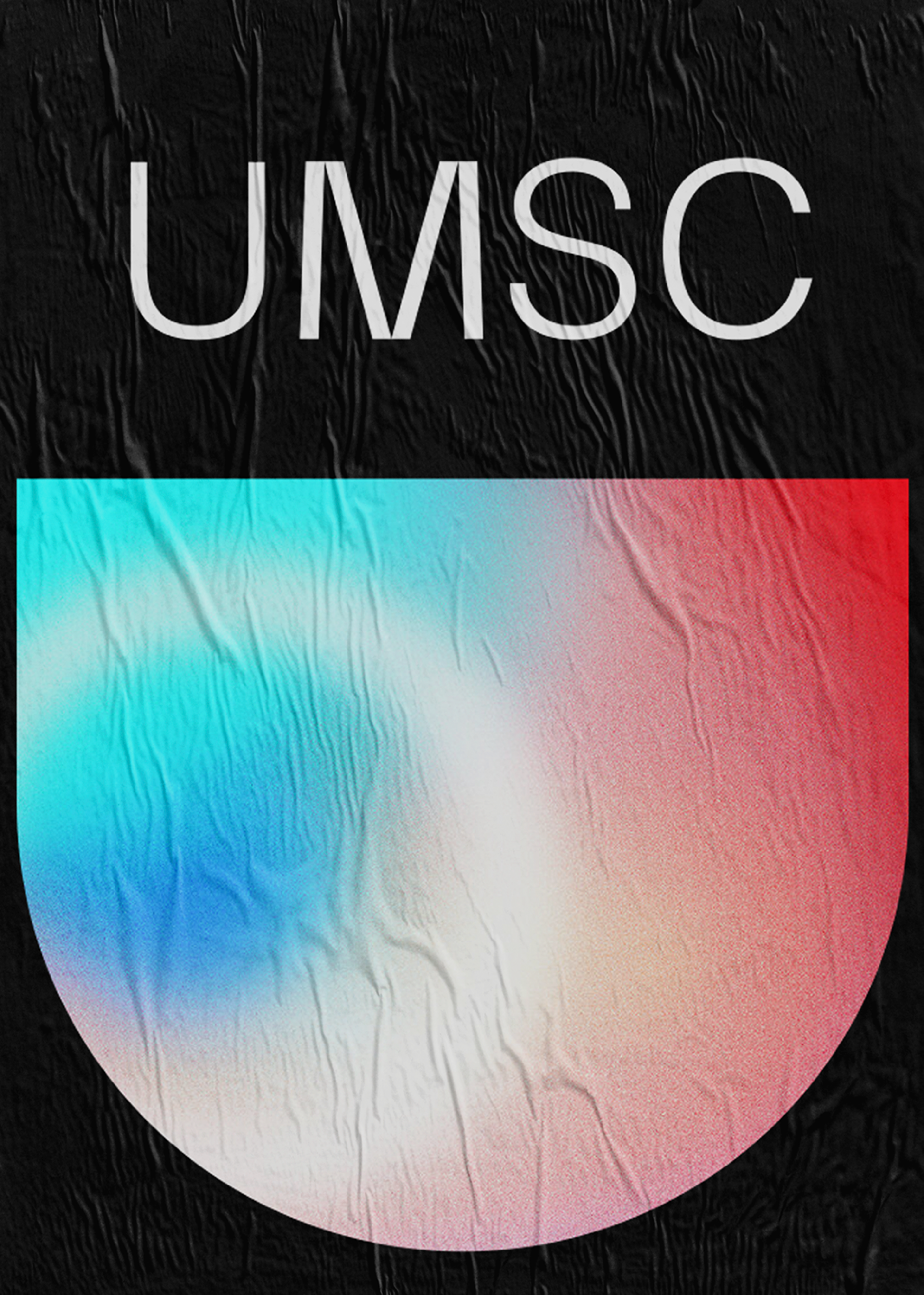 06_Cover-_UMSC_LexTurner_logo-branding_A
