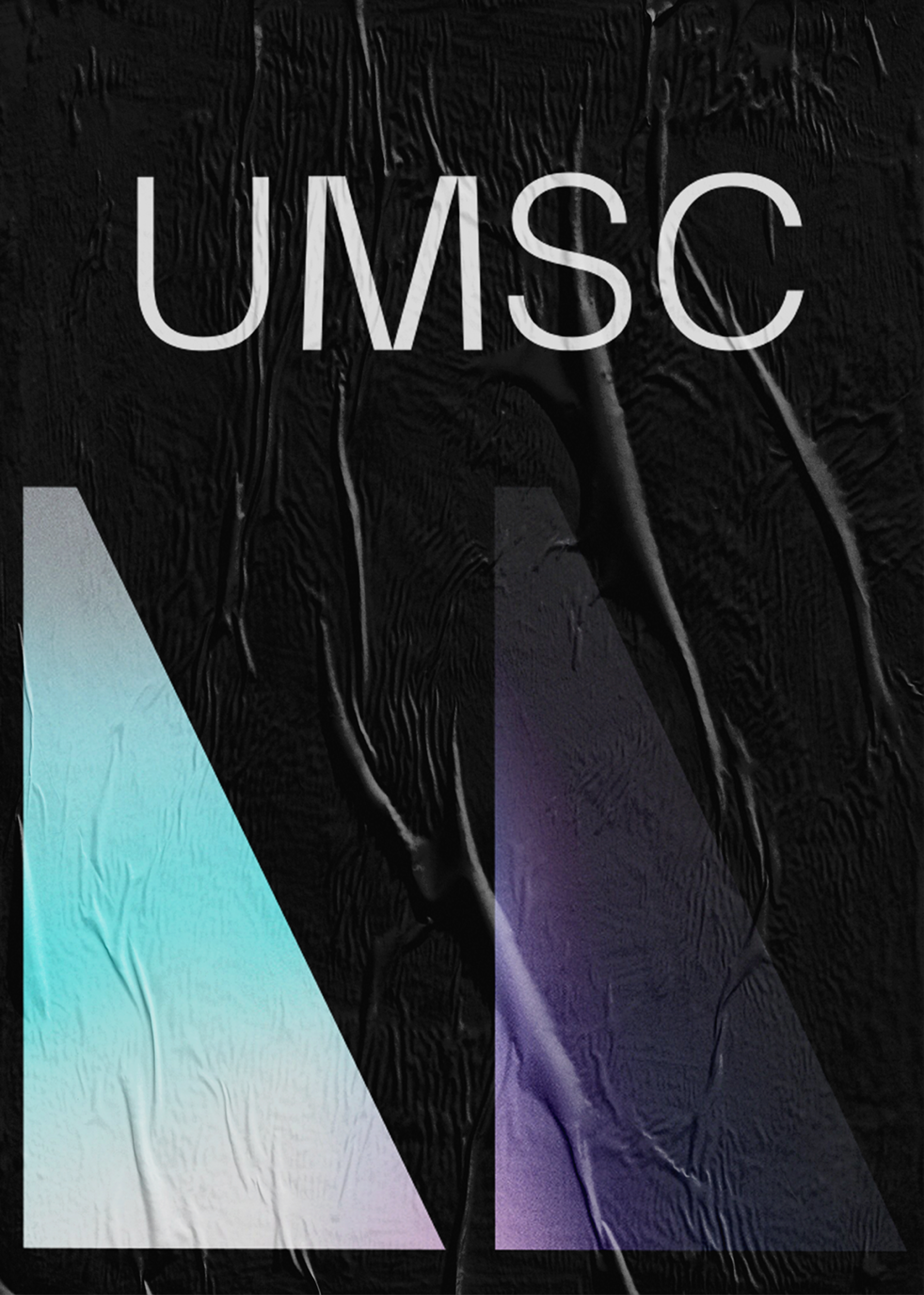 06_Cover-_UMSC_LexTurner_logo-branding_B