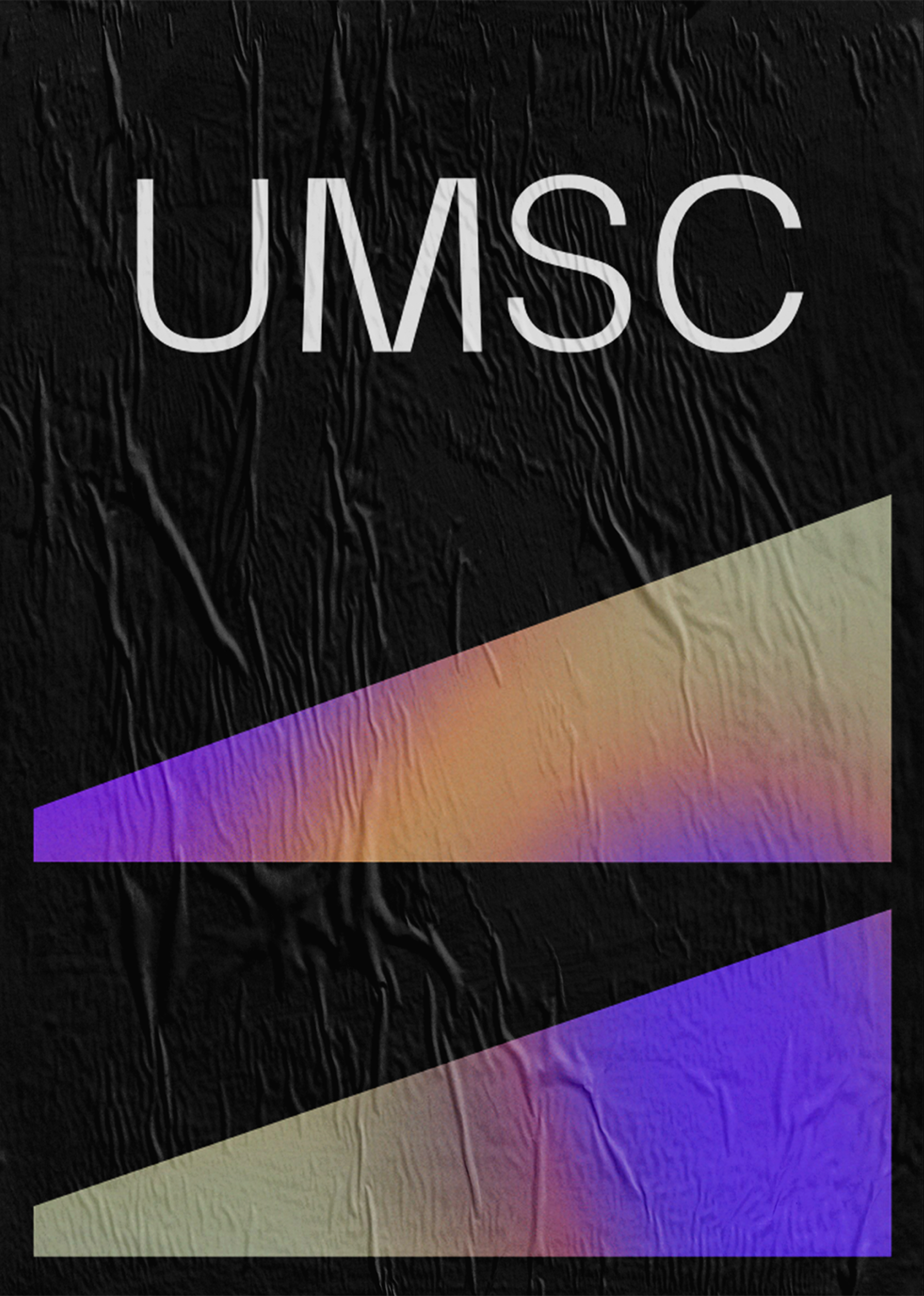 06_Cover-_UMSC_LexTurner_logo-branding_C
